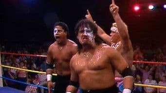 WCCW - August 13, 1988