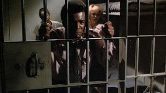 This Must Be the Alamo