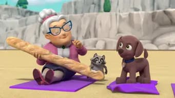 Pups Save the Wacky Water Skiers