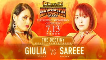 Marigold Summer Destiny 2024