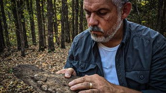 Aggressive Bigfoot and Haunted Hotel