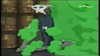 Graveyard of balloons