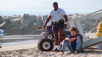 The Falcon Manifesto