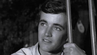 Across Walnuts and Wine