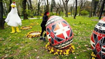 Oh Egg, Where Art Thou