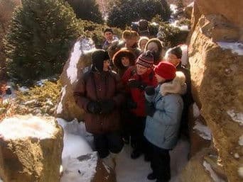 le lancement de la revue - l'ornithologie - les élections