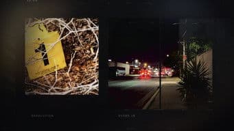 The Streets of Laredo