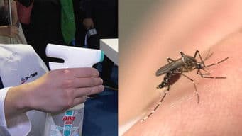 Firms Develop Mosquito Spray to Fight Dengue Fever