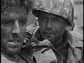 No Trumpets, No Drums