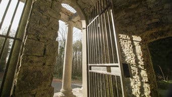 The Ruins of Archaeopolis