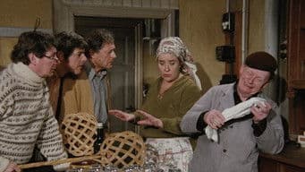 A lively environment