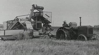 Service and Sacrifice