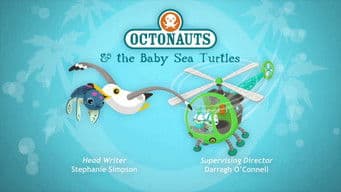Octonauts and the Baby Sea Turtles