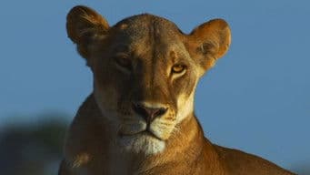 Safety in Numbers (Hide and Seek)