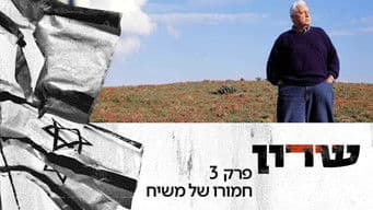 The Messiah's Donkey