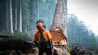 The King-Maker Claim