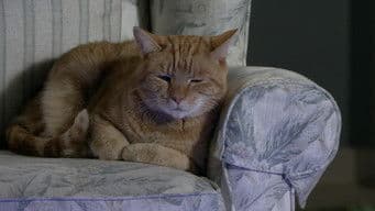 Tuesday, December 24th 2019