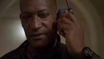 Day 7: 7:00 P.M.-8:00 P.M.