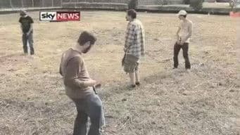 Dead Birds Falling From The Sky