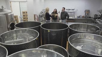 Roots Chocolate | Bos Meadery