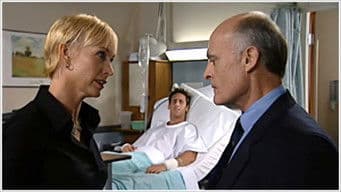 All the Sons and Daughters