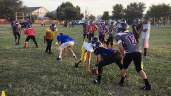 Episode 236 - Cost of the Game / The Witness / Punjabi Hockey