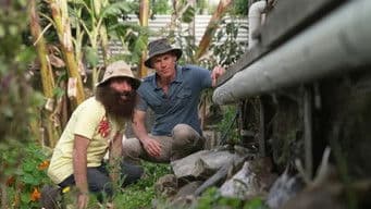 Episode 36 Native Daisies, Sustainable Garden Design & Soil Science