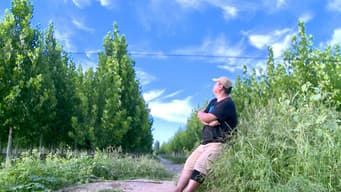 Young People "Lying Flat" in China