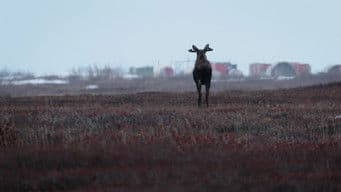 High Risk, High Reward