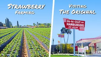 Strawberry Farming and The First In-N-Out