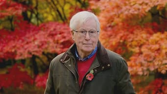 Westonbirt at Autumn