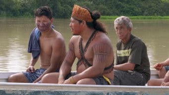 Fall of a Jungle Civilisation