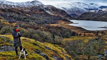 Snowdonia Shepherdess