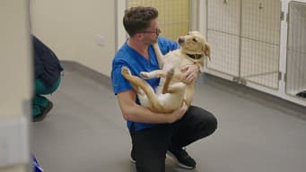 Pups A-Plenty and Chicks A-Laying