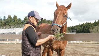 A Ranch for Retired Racehorses