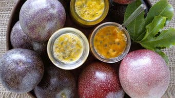 Episode 35: The Tropical Look, Succulent Survivors & Native Mints