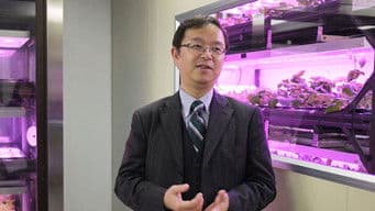 Spotlight on a Future Food Revolution: LED Grow Light Developer - Seiichi Okazaki