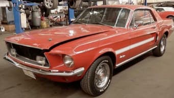 One Mad Mustang - Part 1