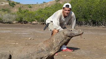 Rin Tin Tin Meets Mister President