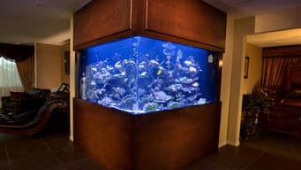 Legal Vending Machine