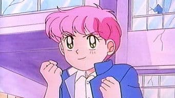 The Beautiful Girl Team is Here