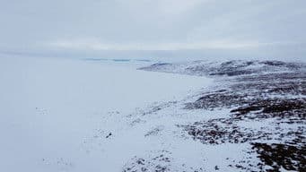 100 Miles From Nowhere