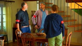 Don't Let the Cat Out of the Bag