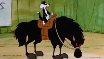 Whatever Happened to Shorty Twang?