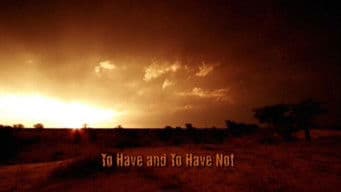 To Have and to Have Not