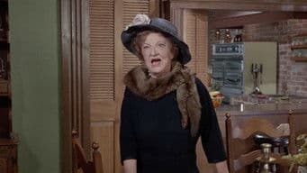 Bewitched, Bothered and Infuriated