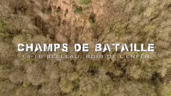 1918 - Belleau Wood of Hell