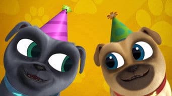 Bingo's and Rolly's Birthday