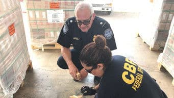 5000 Rounds of Ammunition