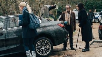 The Theory of Everything